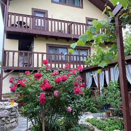 苏利纳 Casa Donau Delta酒店 外观 照片