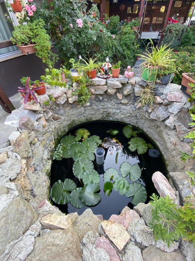 苏利纳 Casa Donau Delta酒店 外观 照片