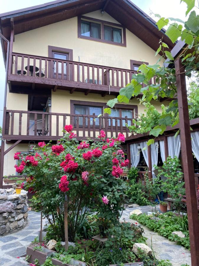苏利纳 Casa Donau Delta酒店 外观 照片