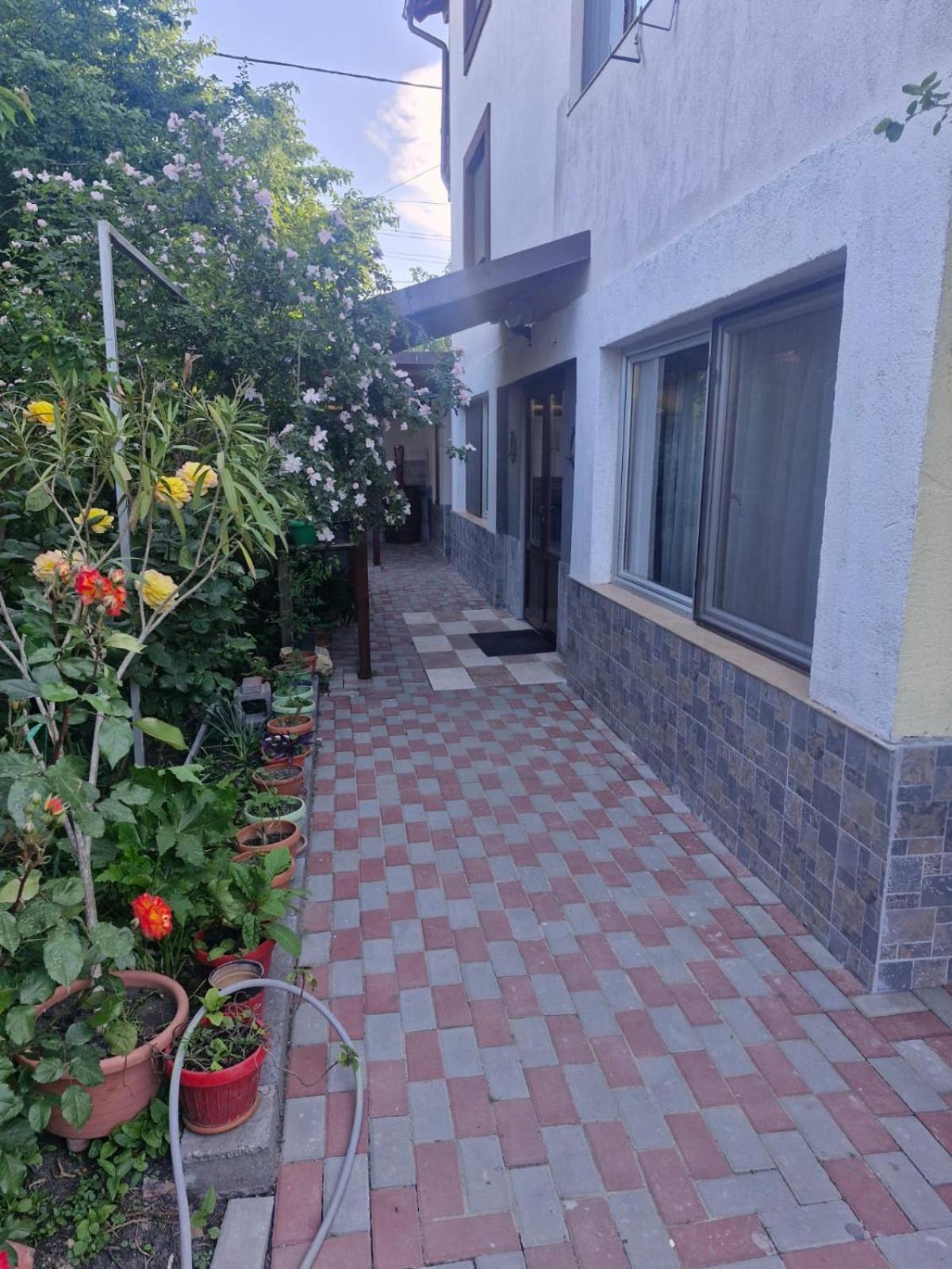 苏利纳 Casa Donau Delta酒店 外观 照片